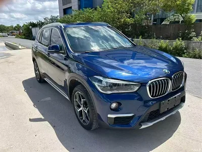 2018 BMW X1 sDrive18Li Premium Model, фото 2, лот 10303028