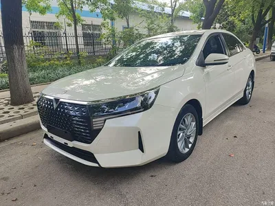 2023 Venucia D60 PLUS 1.6L XE CVT Trend Leader Edition, фото 1, лот 11153600