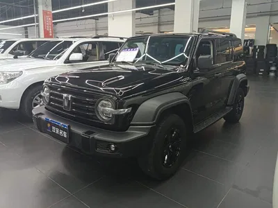 2024 Tank 300 Model 2.0T Challenger, фото 1, лот 10451070
