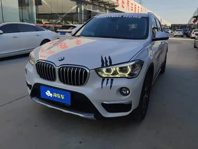 2018 BMW X1 xDrive20Li Luxury Model, фото 1, лот 11584424
