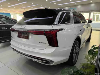2021 Hongqi E-HS9 460km Flagship Comfort 6-seater, фото 4, лот 10288102