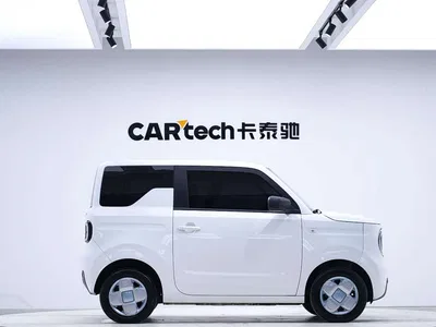 2023 Geely Galaxy Panda Mini 200km Endurance Bear, фото 4, лот 11413639