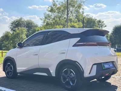 2023 Byd Seagull, фото 4, лот 10245479