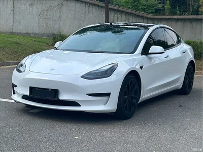 2022 Tesla Model 3 Model Rear-Wheel Drive Version, фото 1, лот 10398241