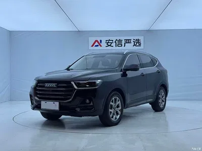 2021 Haval H6 Model National Trend Edition 1.5T Auto Champion, фото 1, лот 11409275