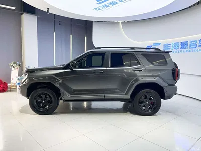 2024 Tank 400 New Energy Hi4-T Off-Road Edition, фото 3, лот 10344177