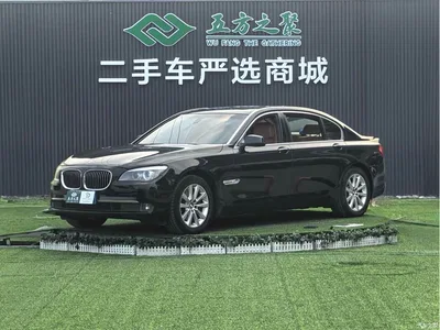 2009 BMW 7 Series 730Li Leading, фото 1, лот 10476632