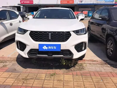 2019 WEY VV5 2.0T 2WD Final Edition, фото 2, лот 10451856