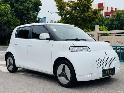 2020 Ora White Cat 360km Luxury Model, фото 3, лот 10807759