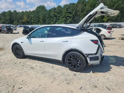 2023 TESLA MODEL Y, фото 2, лот 10856243