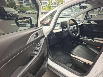 2023 Geely E Firefly 401KM Thunderbolt Tiger 5-Seater, фото 4, лот 11164796