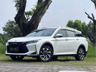 2021 Dongfeng Aeolus Yixuan GS 230T Automatic Moon Chaser Edition, фото 1, лот 10410737
