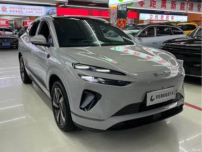 2025 BYD Sealion 06 New Energy DM-i 170 Pilot Pro Edition, фото 3, лот 10273349