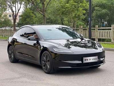 2025 Tesla Model 3 Model Year Facelift Long Range Rear-Wheel Drive, фото 1, лот 10346452