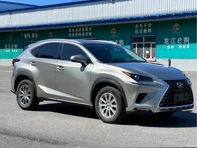 2020 Lexus NX 200 AWD F Sport China VI, фото 3, лот 10321768