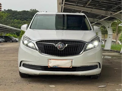 2017 Buick GL8 ES 28T Luxury China V, фото 2, лот 10246807