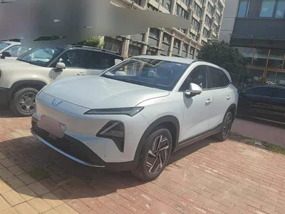 2024 Wuling Motors Wuling Xingguang S 510km Navigation Edition, фото 1, лот 10835311