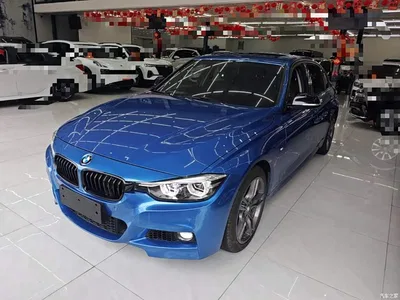 2018 BMW 3 Series 320Li Leading M Sport Package, фото 1, лот 10457736