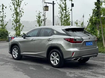 2016 Lexus RX 300 2WD Elite Edition (China V), фото 4, лот 10317589