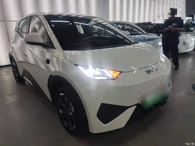 2025 BYD Seagull Smart Drive Edition 305km Freedom Version, фото 4, лот 10259849