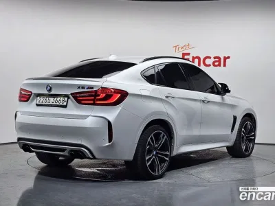2017 BMW X6M 4.4, фото 2, лот 10081834