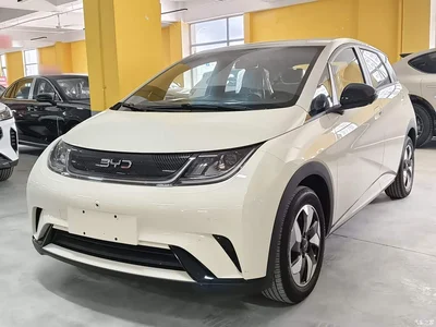 2025 BYD Dolphin 420km Freedom Edition, фото 2, лот 10258795
