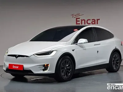 2019 Tesla Model X 100D, фото 1, лот 10123434