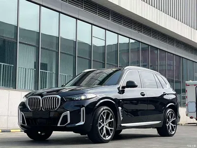 2023 BMW X5 xDrive 30Li Premium M Sport Package, фото 1, лот 10303160