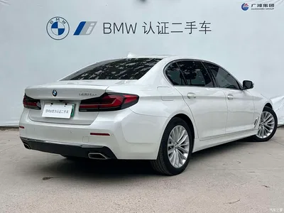 2021 BMW 5 Series New Energy 535Le Luxury Package, фото 4, лот 10474158