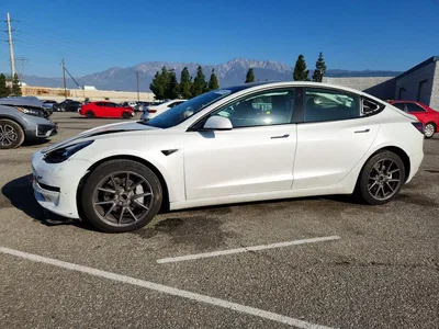 2023 TESLA MODEL 3, фото 1, лот 10850946
