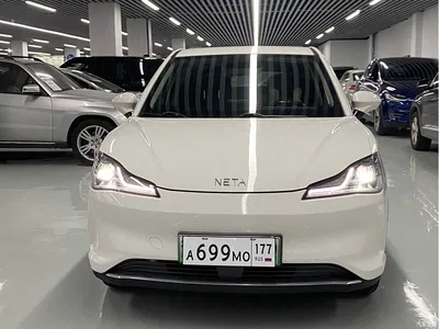 2022 Nezha Auto Nezha V Pro Long Range Intelligent Edition, фото 2, лот 11598209