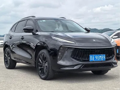2021 Dongfeng Fengxing T5 EVO 1.5TD DCT Starlight Edition, фото 3, лот 11565928