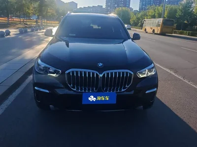 2022 BMW X5 Model xDrive 40Li M Sport Package, фото 2, лот 10392562