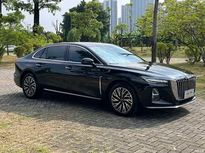 2025 Hongqi H5 2.0T Automatic Flag Celebration 500,000 Units Anniversary Edition, фото 3, лот 11139631