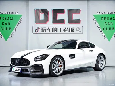 2019 Mercedes-Benz AMG GT, фото 1, лот 10248678