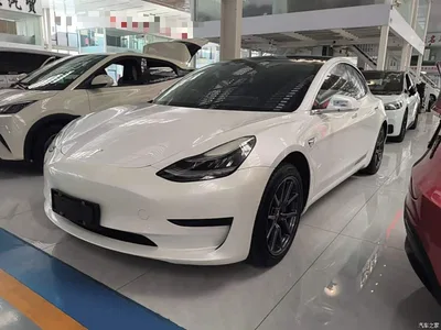 2020 Tesla Model 3 Standard Range Rear-Wheel Drive Upgrade, фото 2, лот 10284890