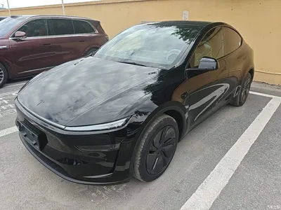 2025 Tesla Model Y Model Rear-Wheel Drive Launch Edition, фото 1, лот 10455385