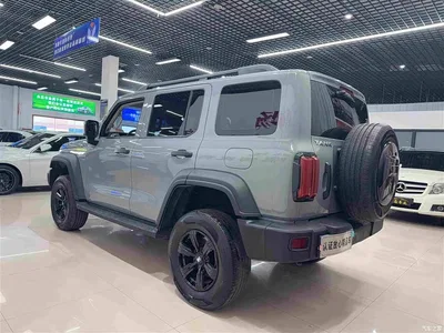 2021 Tank 300 Off-road Version 2.0T Conqueror, фото 4, лот 10345188
