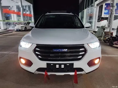 2017 Haval H6 Blue Label Sport 1.5T Manual 2WD Elite, фото 3, лот 11226631