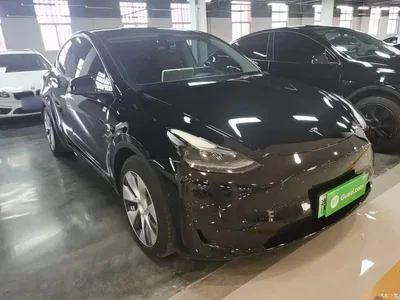 2022 Tesla Model Y Rear-Wheel Drive Version, фото 4, лот 10383836