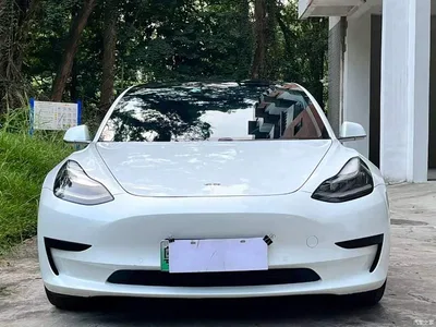 2020 Tesla Model 3 Standard Range Rear-Wheel Drive Upgrade, фото 2, лот 11212217