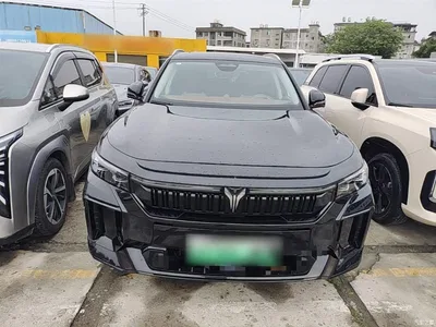 2024 Voyah Auto VOYAH FREE Ultra Long Range Intelligent Driving Edition, фото 3, лот 10311813