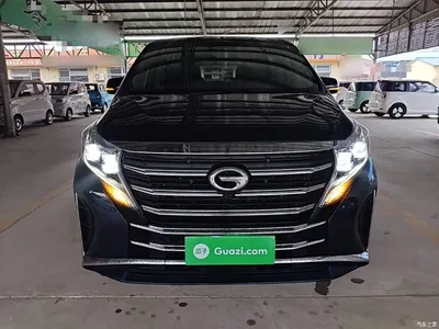 2021 GAC Trumpchi Trumpchi M8 Leading Show Series 390T Prestige Edition, фото 3, лот 10424556