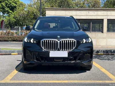 2025 BMW X5 Model xDrive 30Li Exclusive M Sport Blackout Package, фото 2, лот 11569090