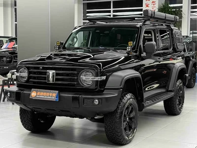 2021 Tank 300 Off-road Version 2.0T Conqueror, фото 1, лот 11571585