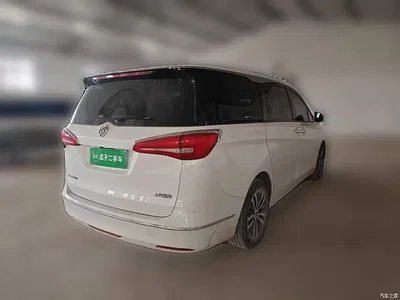 2017 Buick GL8 ES 28T Luxury China V, фото 4, лот 10774575