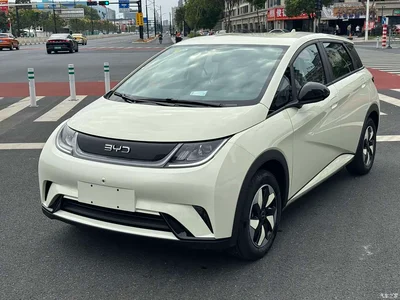 2025 BYD Dolphin 420km Freedom Edition, фото 1, лот 10400624