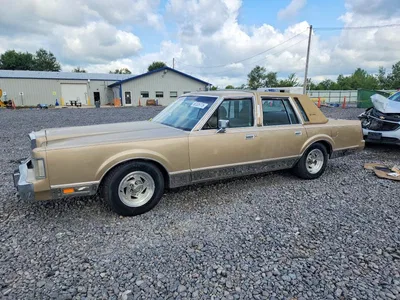 1989 LINCOLN TOWN CAR SIGNATURE, фото 1, лот 10970267