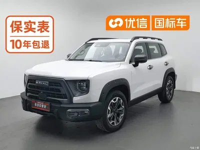 2024 Haval Big Dog 2.0T DCT Chinese Rural Dog Edition, фото 1, лот 10838572