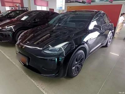 2023 Tesla Model Y Rear-Wheel Drive Edition, фото 1, лот 10370125